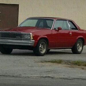 Meet your Posher, Roberto